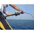 pesca a vertical jigging